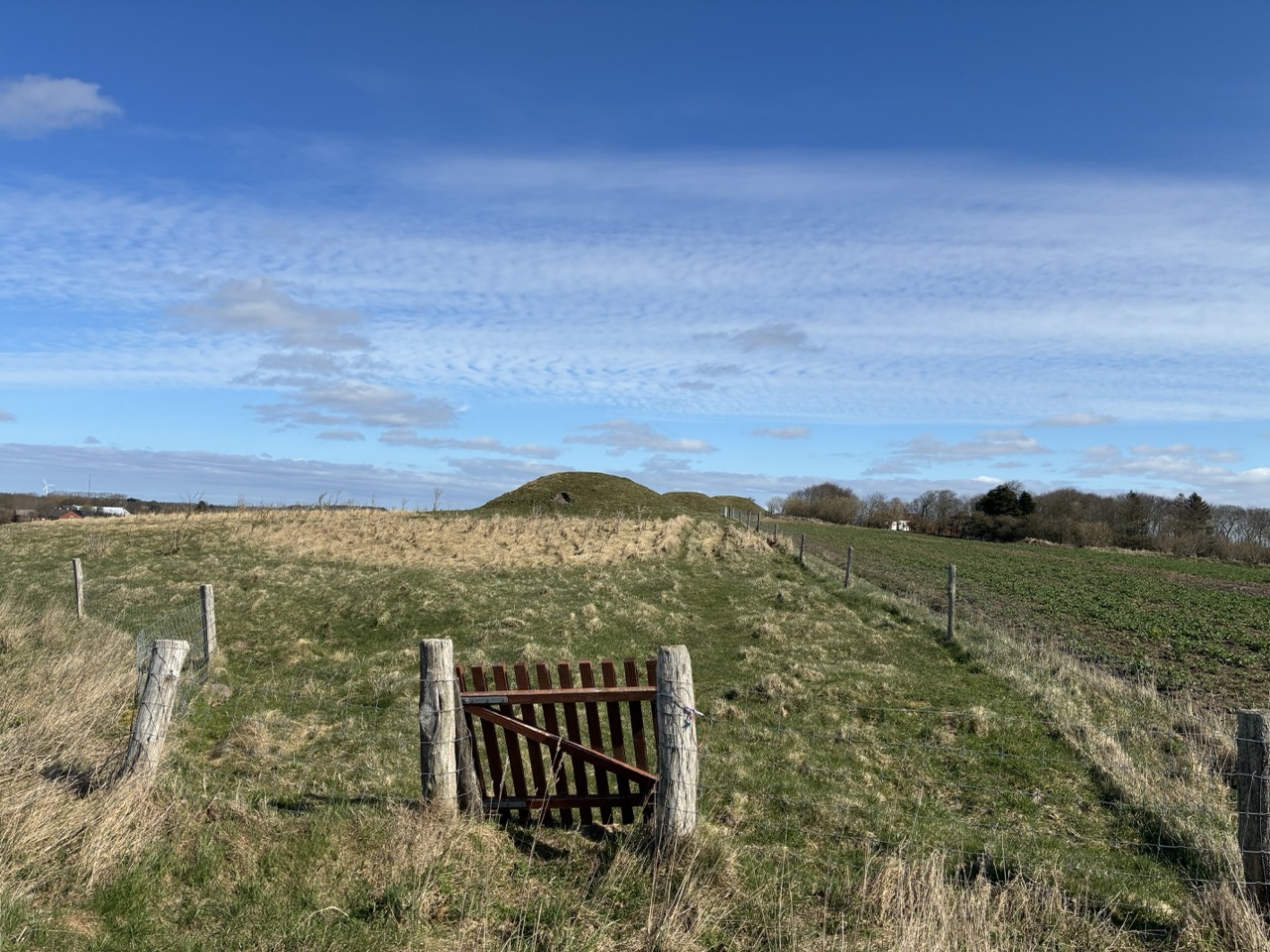 Gro%C3%9F%20%28IMG_1298%29